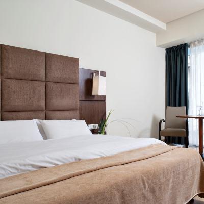 Hotel Arion Ateny